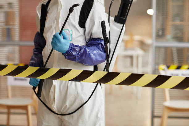 Professional Sewage Cleanup technician working in Milford Center, OH